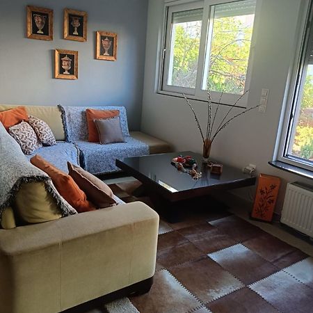 Lefkothea'S House Apartment Athens Ngoại thất bức ảnh