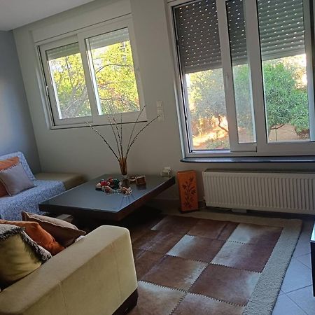 Lefkothea'S House Apartment Athens Ngoại thất bức ảnh