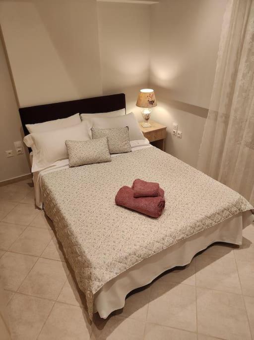 Lefkothea'S House Apartment Athens Ngoại thất bức ảnh